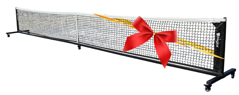Picklemax portable pickleball system