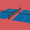 Surface Mount Pickleball Court Divider